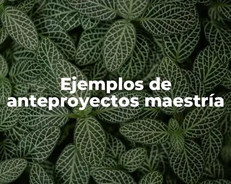 Ejemplos de anteproyectos maestría