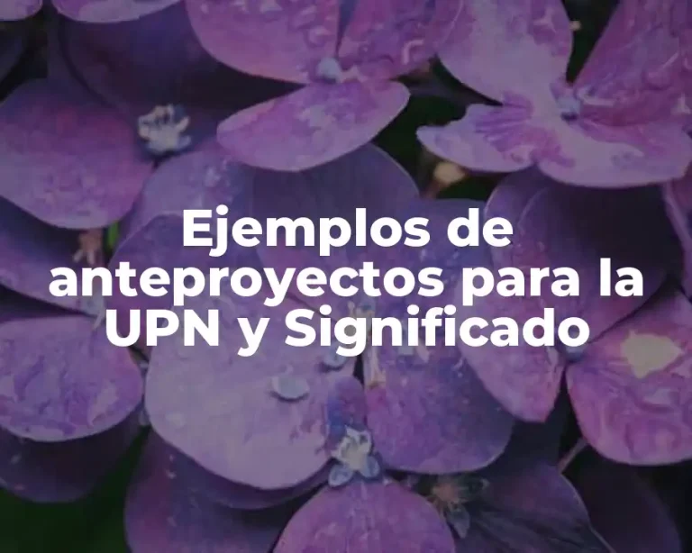 Ejemplos de anteproyectos para la UPN y Significado