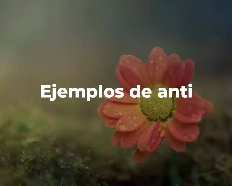 Ejemplos de anti