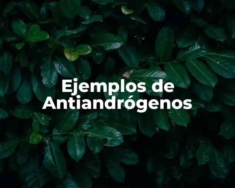 Ejemplos de Antiandrógenos
