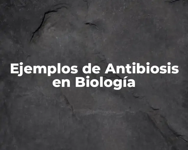 Ejemplos de Antibiosis en Biología