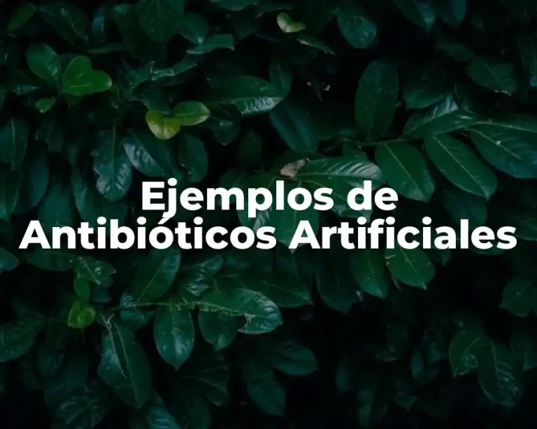 Ejemplos de Antibióticos Artificiales