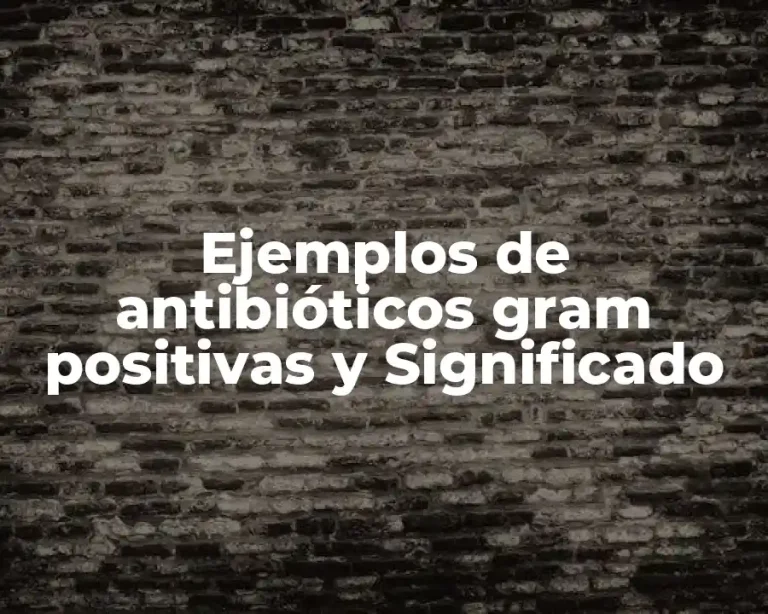 Ejemplos de antibióticos gram positivas y Significado