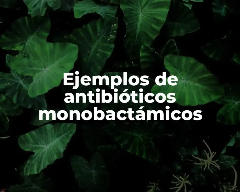 Ejemplos de antibióticos monobactámicos
