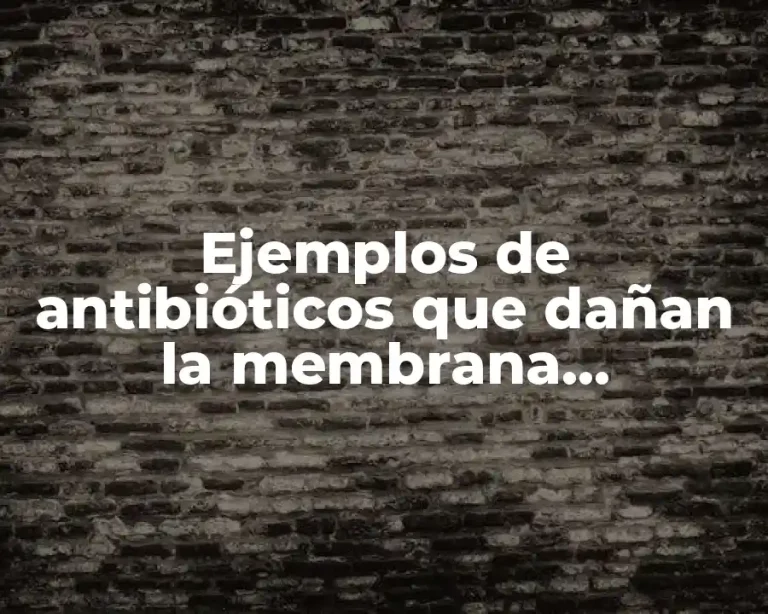 Ejemplos de antibióticos que dañan la membrana citoplásmica