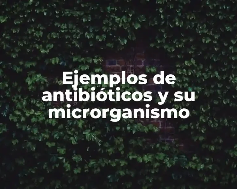 Ejemplos de antibióticos y su microrganismo