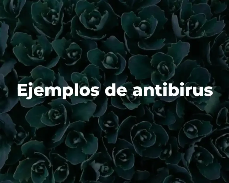 Ejemplos de antibirus