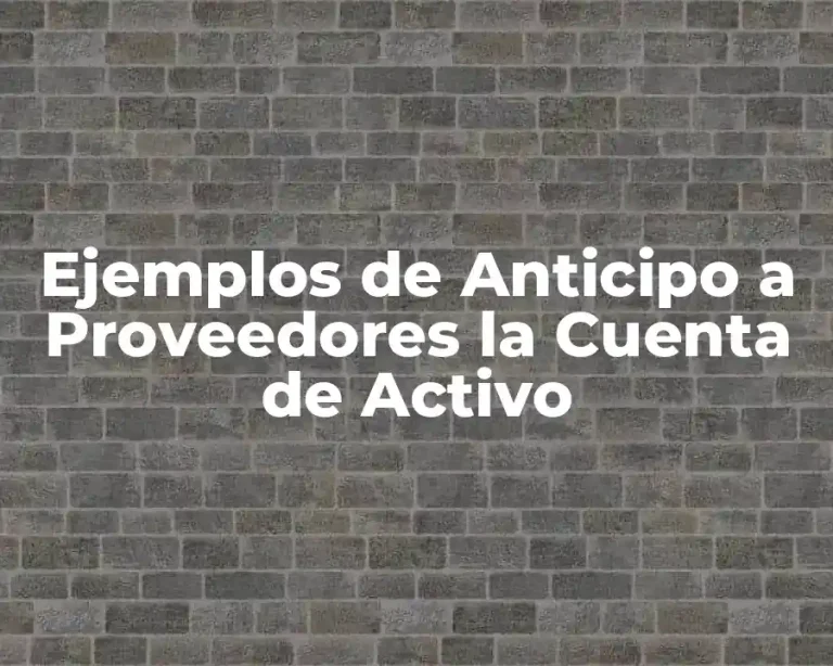 Ejemplos de Anticipo a Proveedores la Cuenta de Activo
