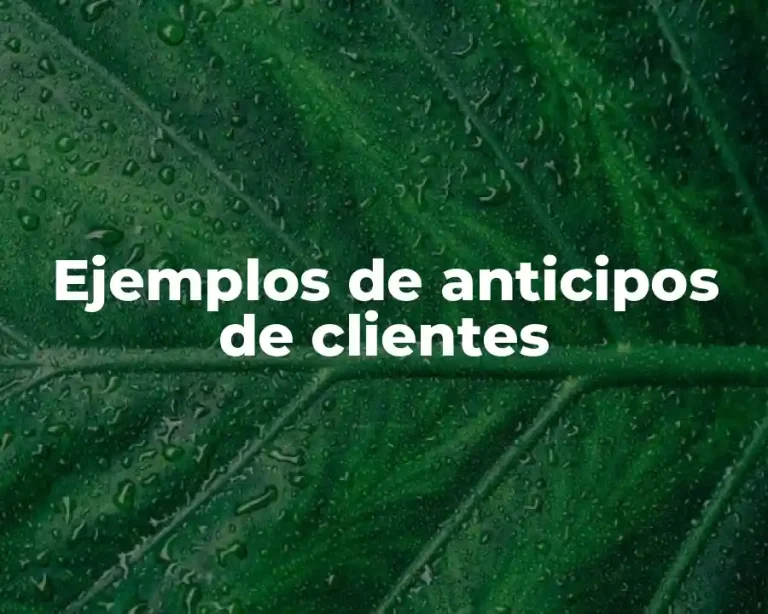 Ejemplos de anticipos de clientes
