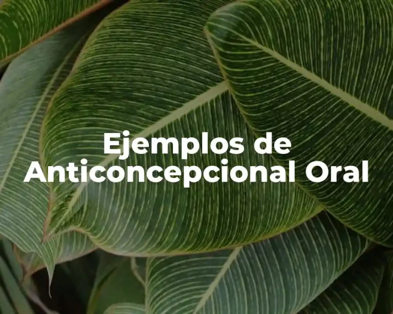 Ejemplos de Anticoncepcional Oral