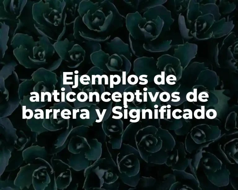 Ejemplos de anticonceptivos de barrera y Significado