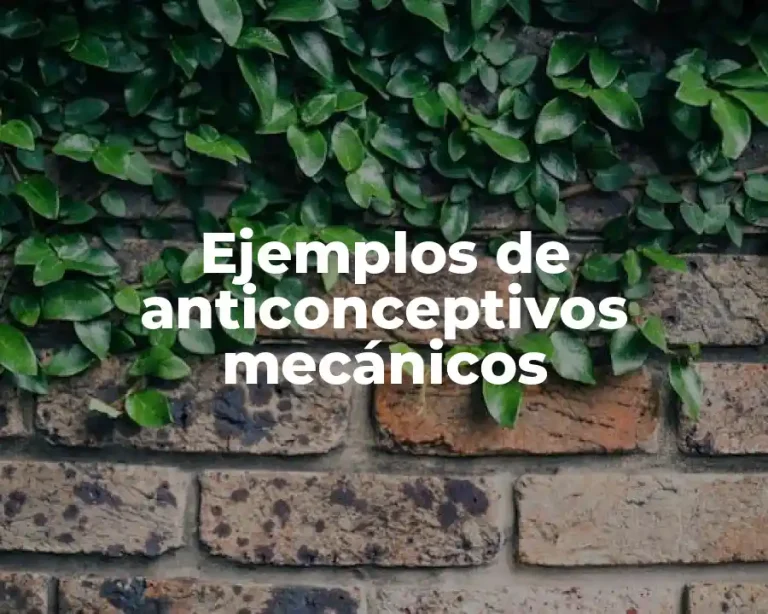 Ejemplos de anticonceptivos mecánicos