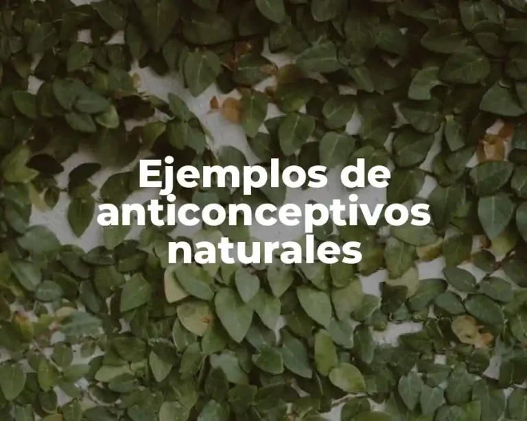 Ejemplos de anticonceptivos naturales