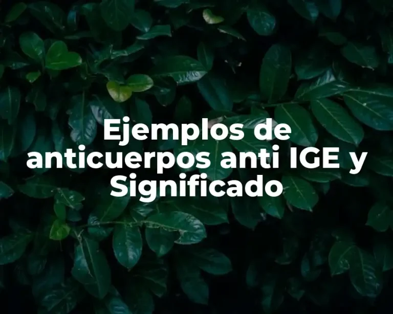 Ejemplos de anticuerpos anti IGE y Significado