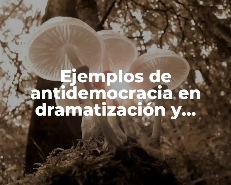 Ejemplos de antidemocracia en dramatización y Significado