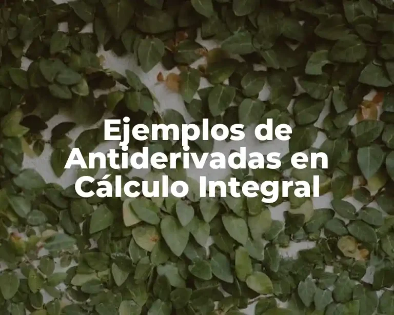 Ejemplos de Antiderivadas en Cálculo Integral