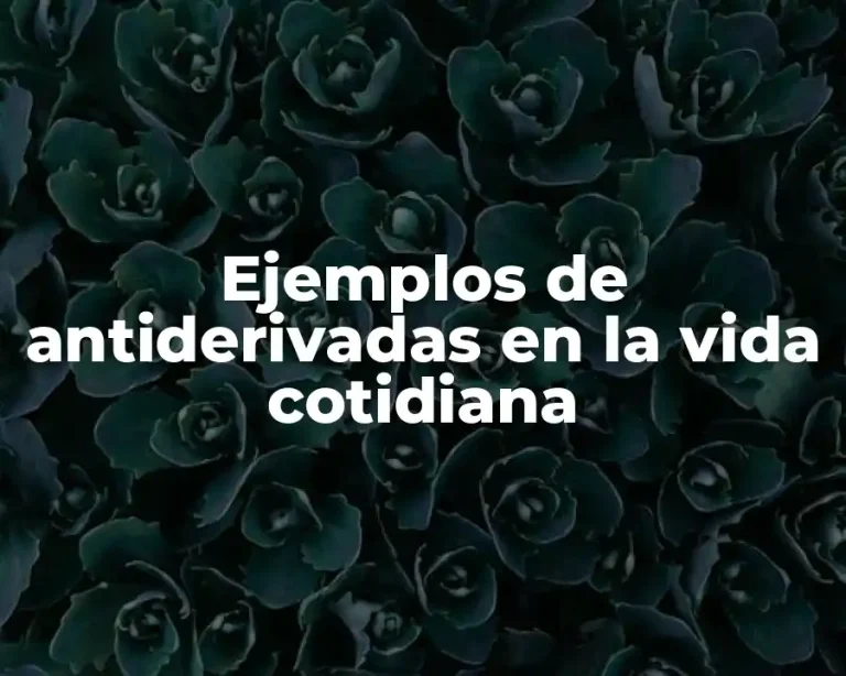 Ejemplos de antiderivadas en la vida cotidiana