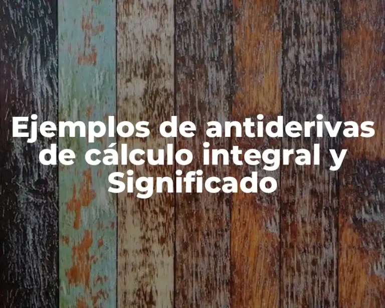 Ejemplos de antiderivas de cálculo integral y Significado