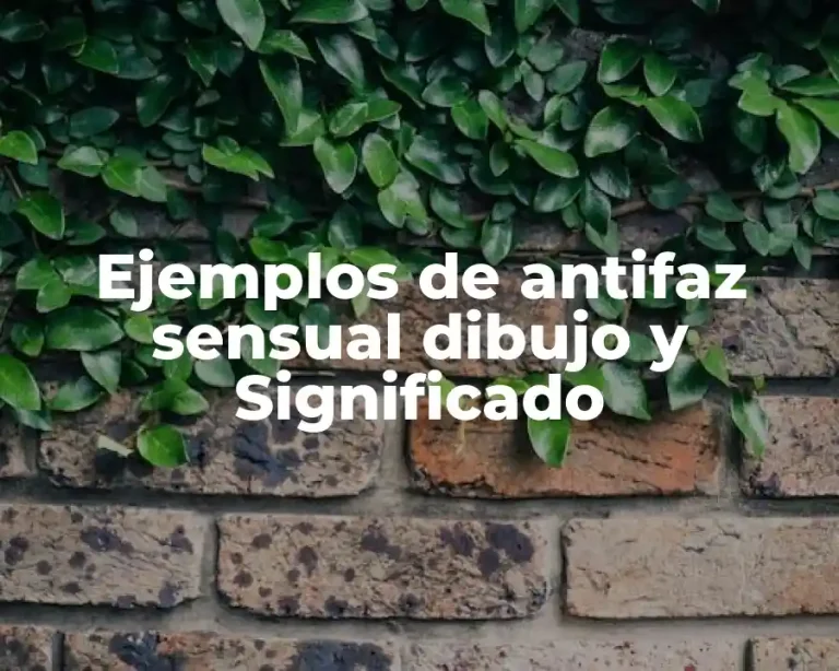Ejemplos de antifaz sensual dibujo y Significado