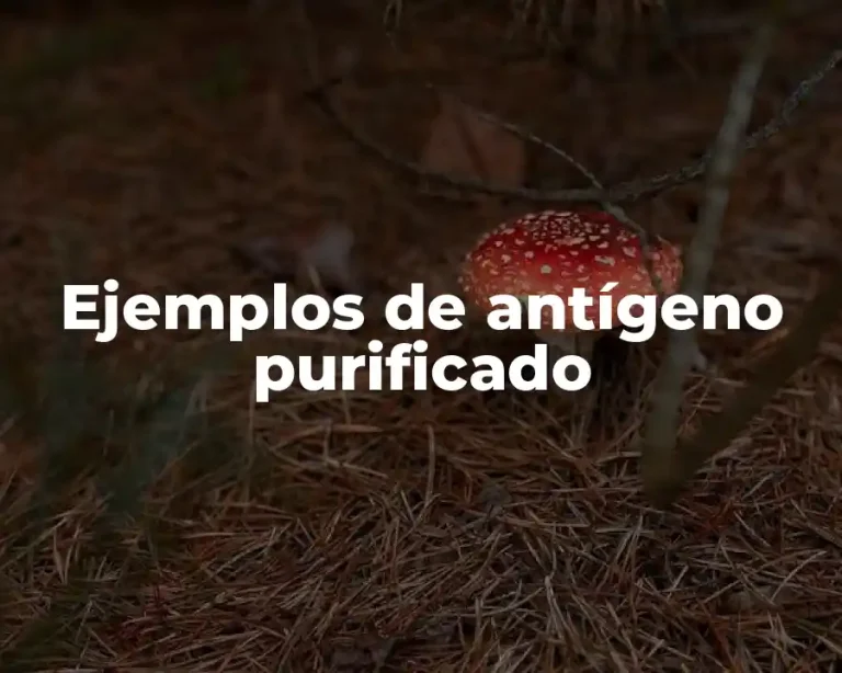 Ejemplos de antígeno purificado