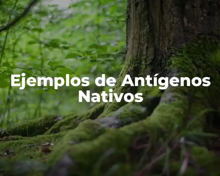 Ejemplos de Antígenos Nativos