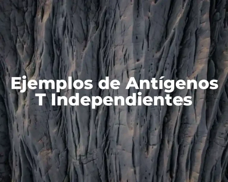 Ejemplos de Antígenos T Independientes