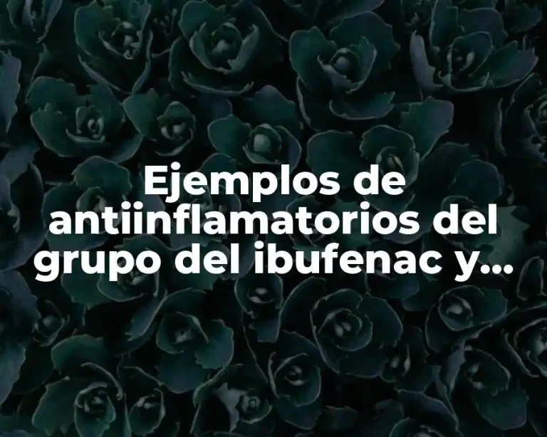 Ejemplos de antiinflamatorios del grupo del ibufenac y Significado