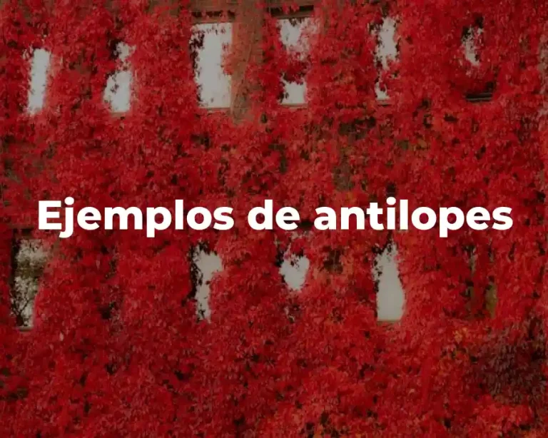 Ejemplos de antilopes