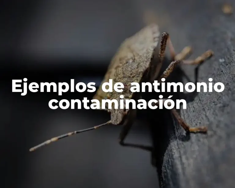 Ejemplos de antimonio contaminación