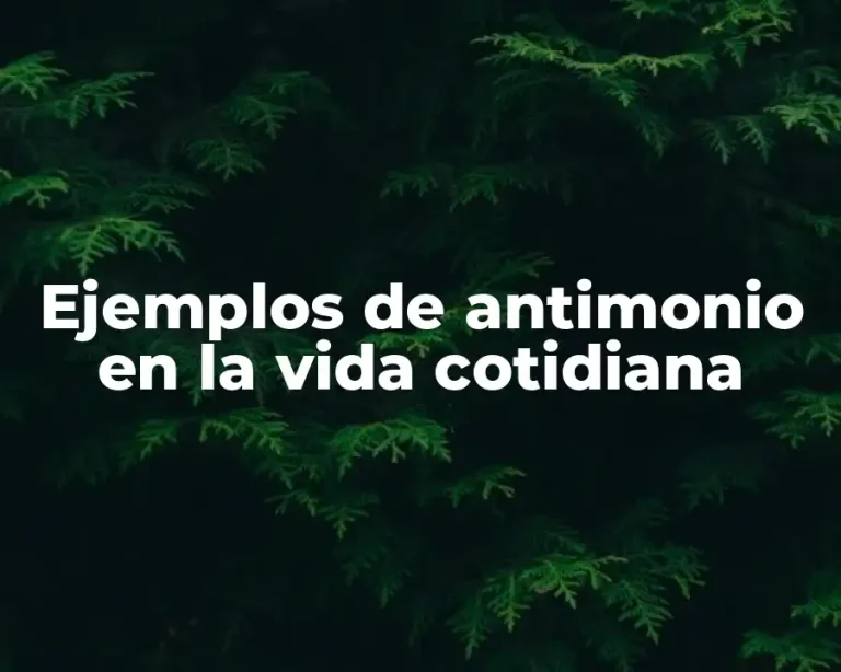 Ejemplos de antimonio en la vida cotidiana