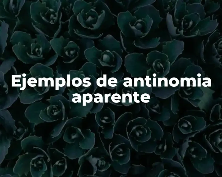 Ejemplos de antinomia aparente