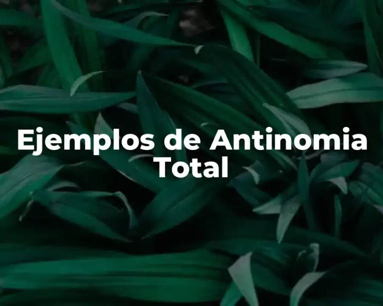 Ejemplos de Antinomia Total