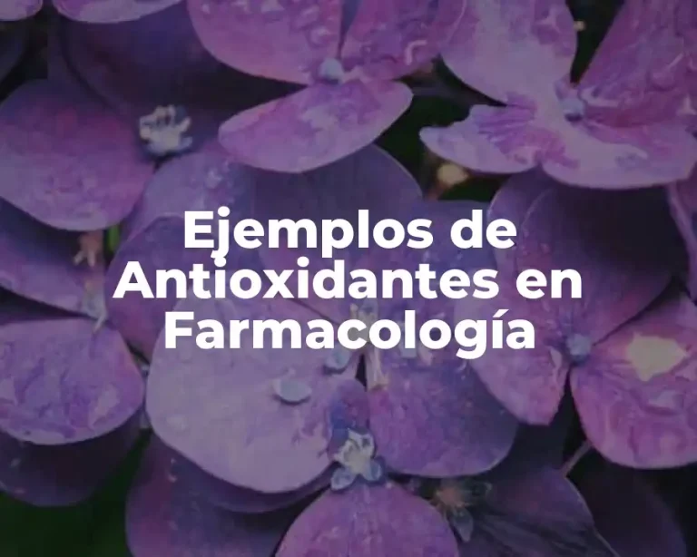 Ejemplos de Antioxidantes en Farmacología