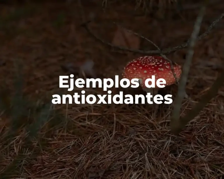 Ejemplos de antioxidantes