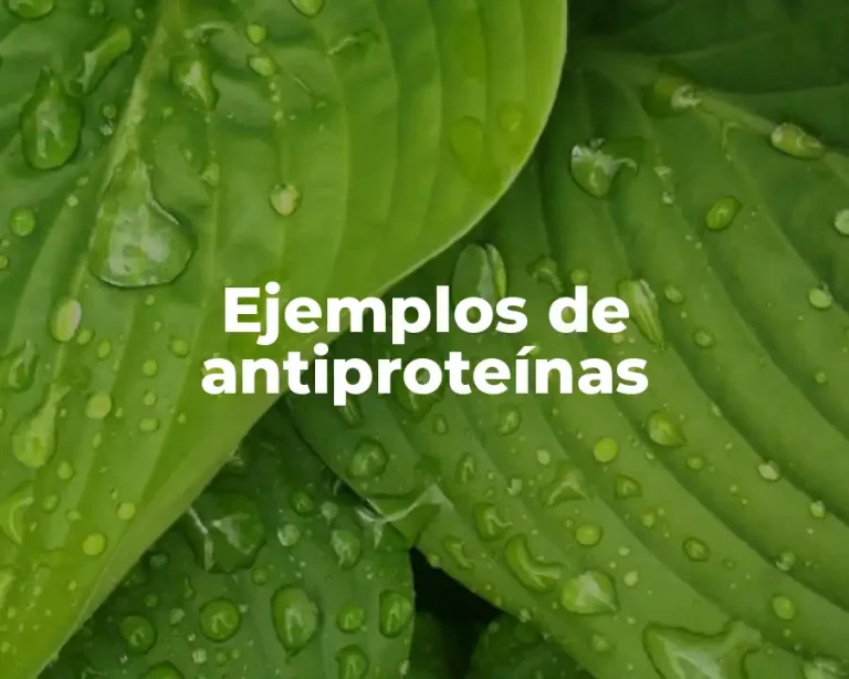 Ejemplos de antiproteínas
