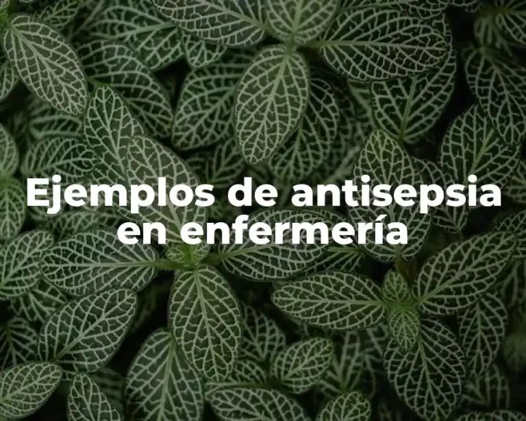 Ejemplos de antisepsia en enfermería