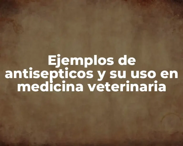 Ejemplos de antisepticos y su uso en medicina veterinaria