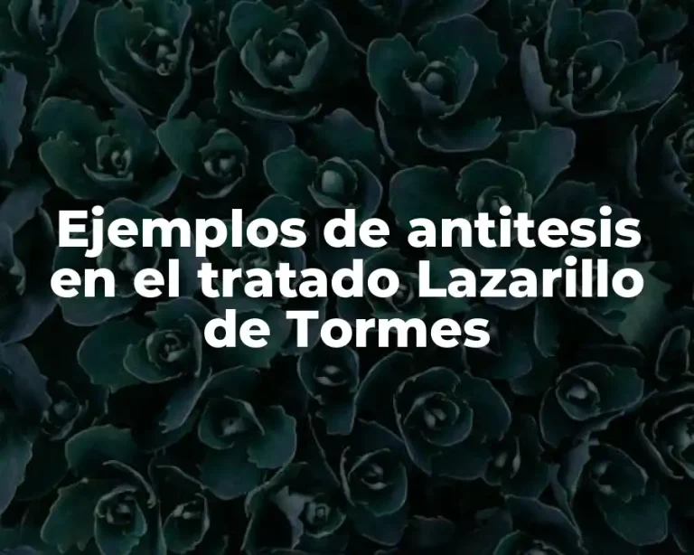 Ejemplos de antitesis en el tratado Lazarillo de Tormes