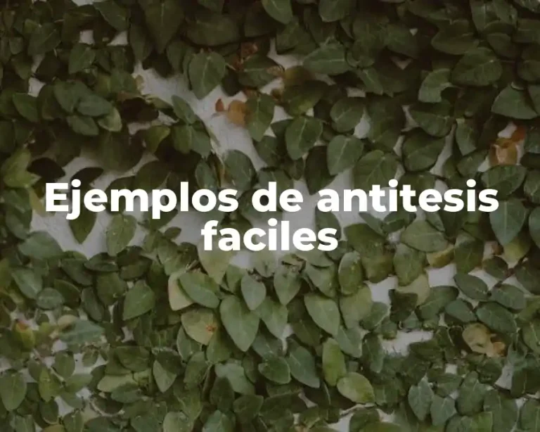 Ejemplos de antitesis faciles