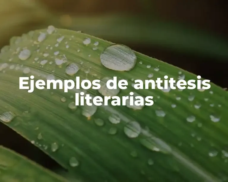 Ejemplos de antitesis literarias
