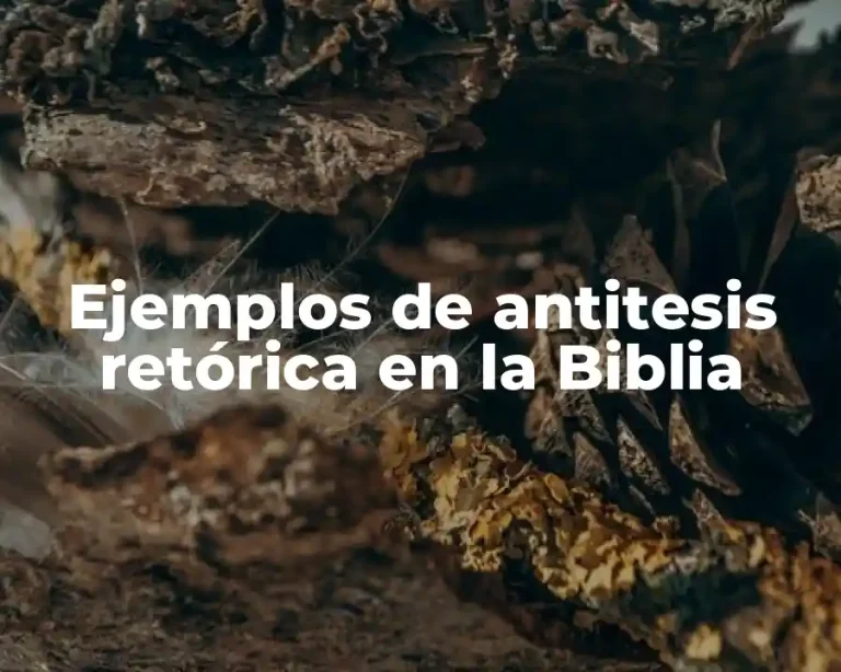 Ejemplos de antitesis retórica en la Biblia