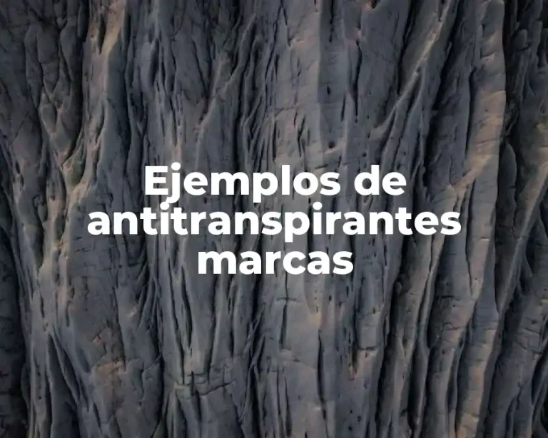 Ejemplos de antitranspirantes marcas