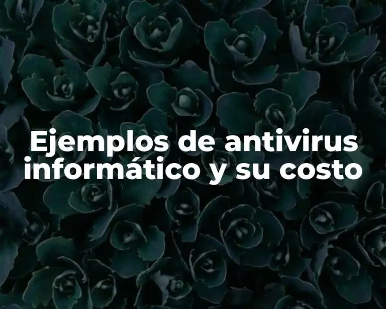 Ejemplos de antivirus informático y su costo