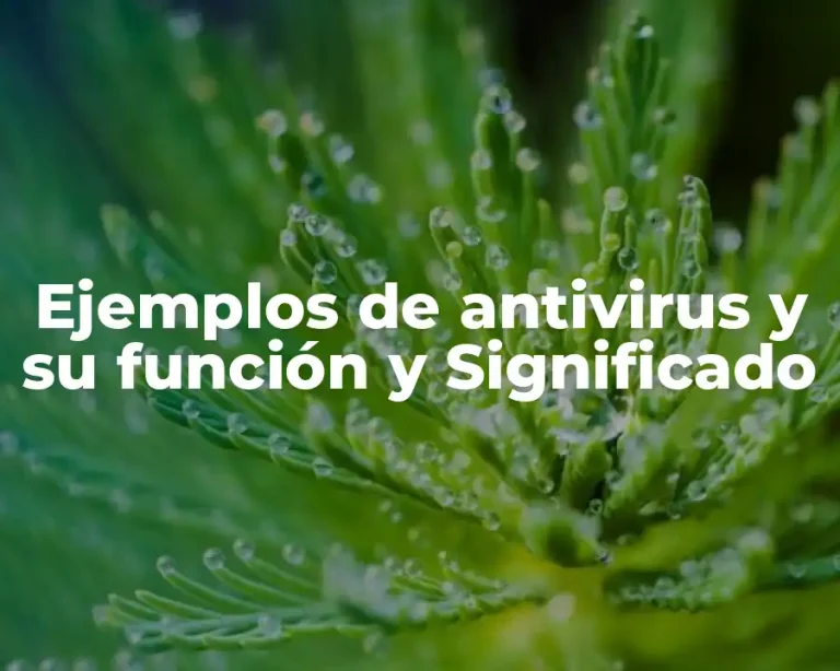 Ejemplos de antivirus y su función y Significado