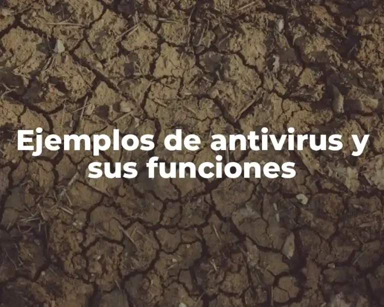 Ejemplos de antivirus y sus funciones