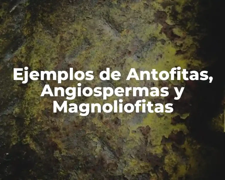 Ejemplos de Antofitas, Angiospermas y Magnoliofitas