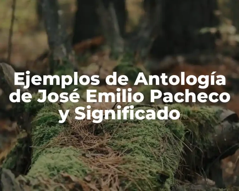 Ejemplos de Antología de José Emilio Pacheco y Significado