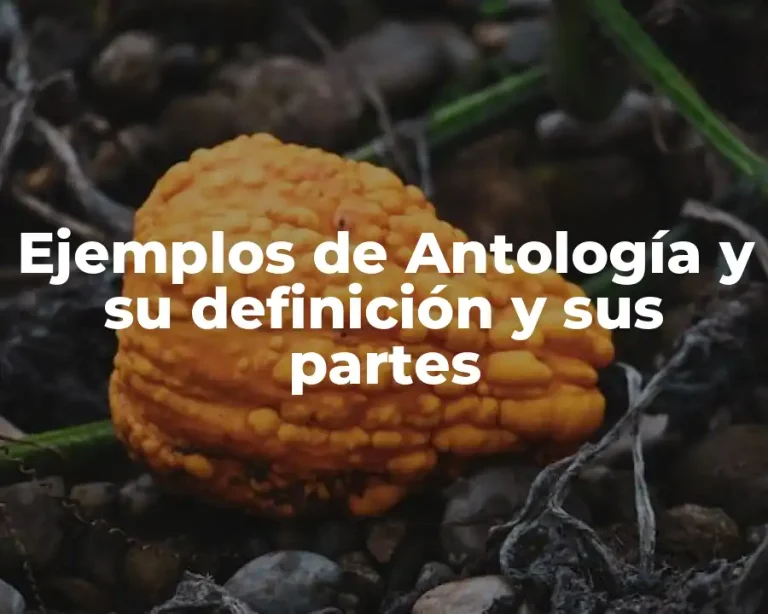 Ejemplos de Antología y su definición y sus partes