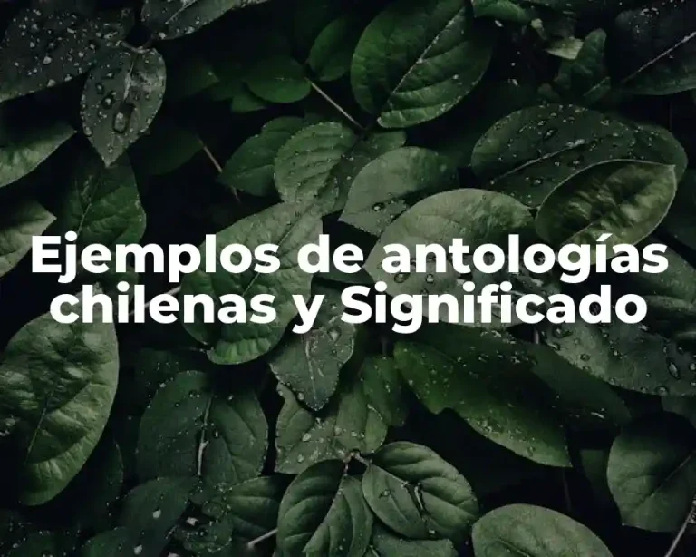 Ejemplos de antologías chilenas y Significado