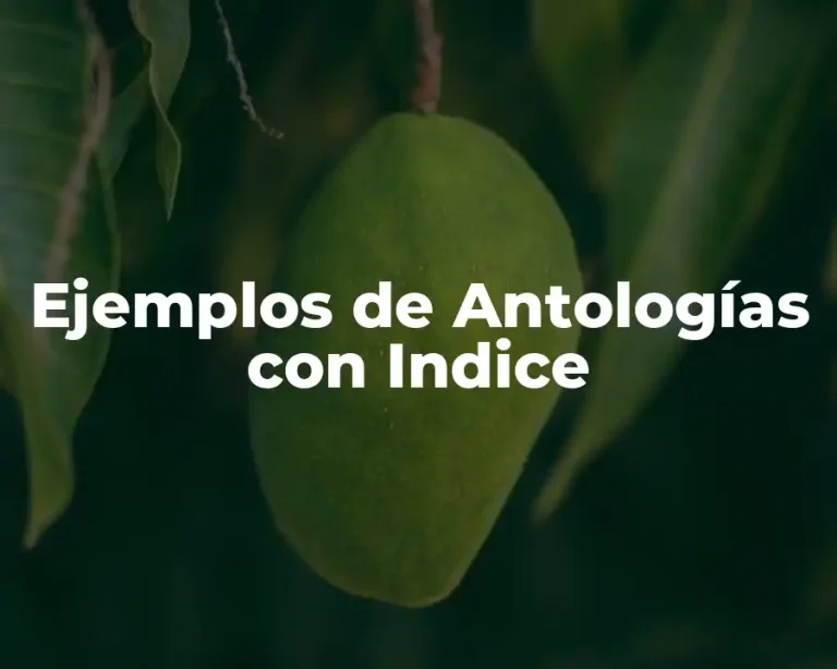 Ejemplos de Antologías con Indice